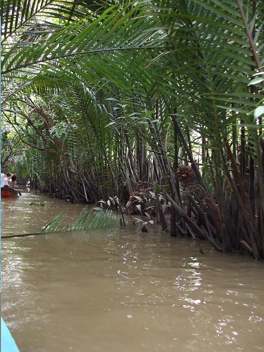 Vietnam Mekong Delta (4)